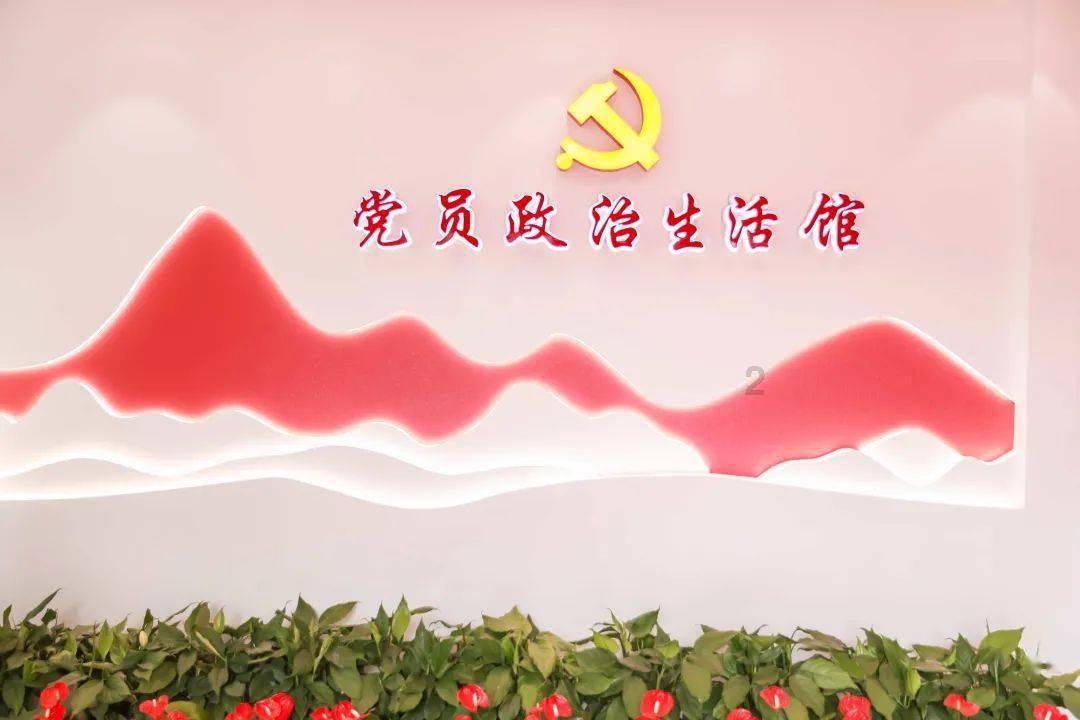 寻找萌宠松鼠